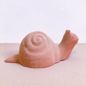 Chiocciola