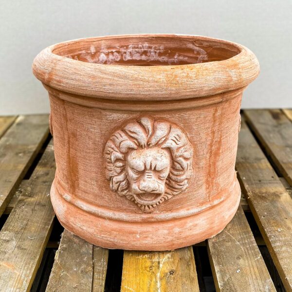 Lion Cylinder
