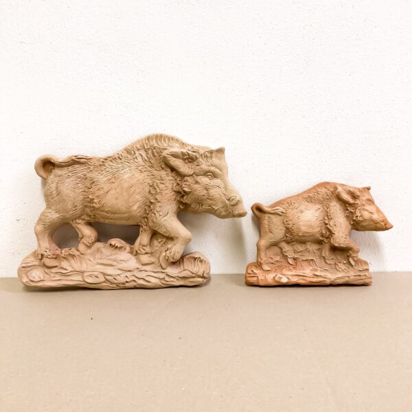 Boar