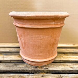 Cono Bordato