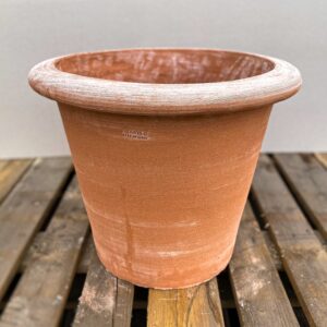 Cono Liscio