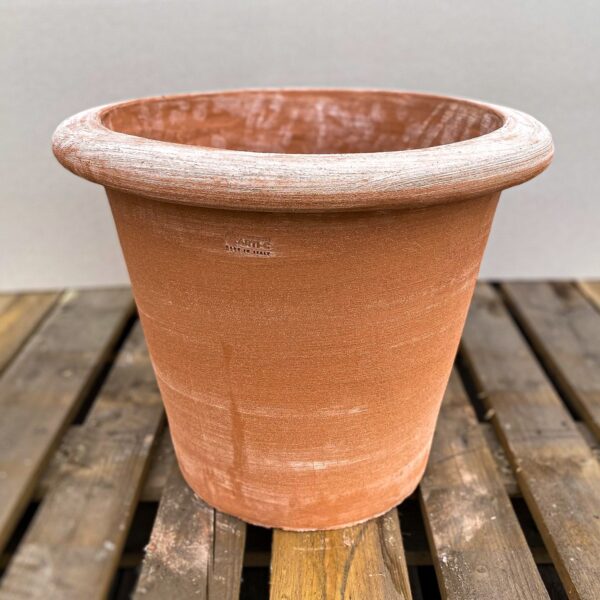 Cono Liscio