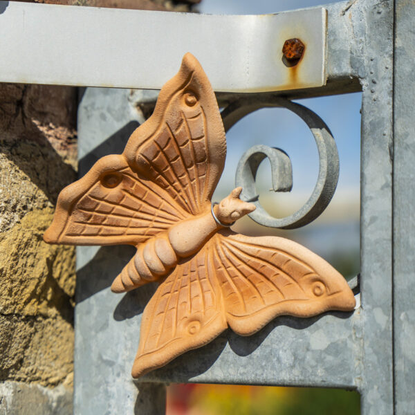 Farfalla - immagine 3
