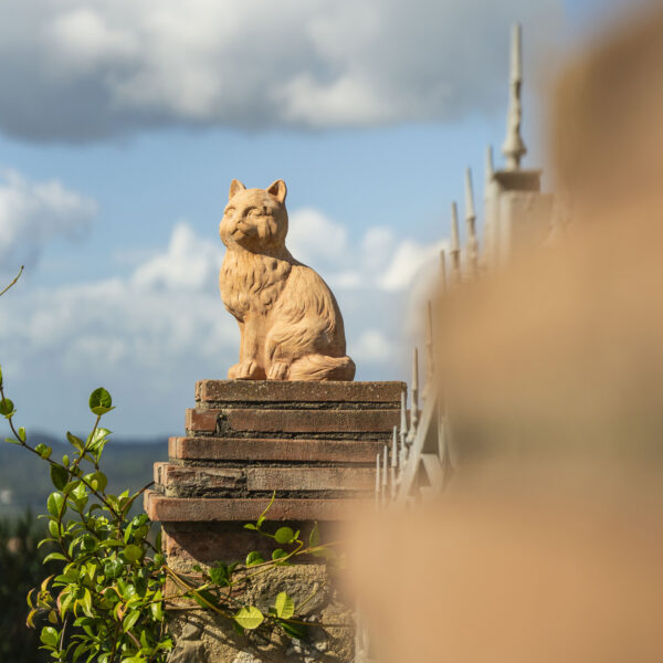 Gatto in piedi - immagine 2