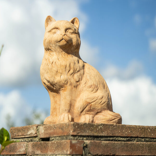 Gatto in piedi - immagine 3