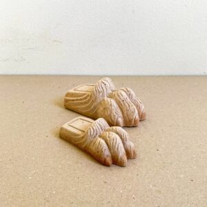 Piedino Zampa di Leone