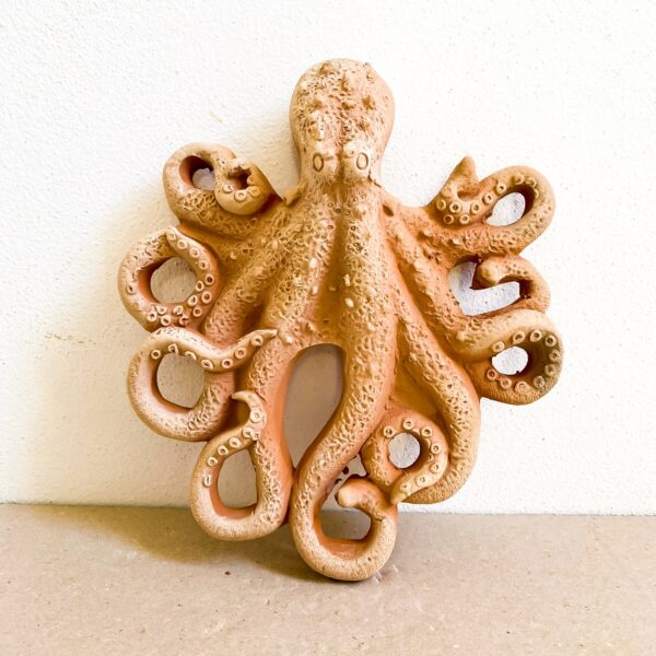 Polyp