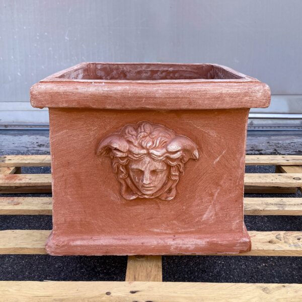 Perseus Painting
