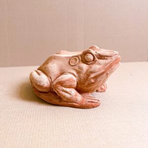 Giant Toad