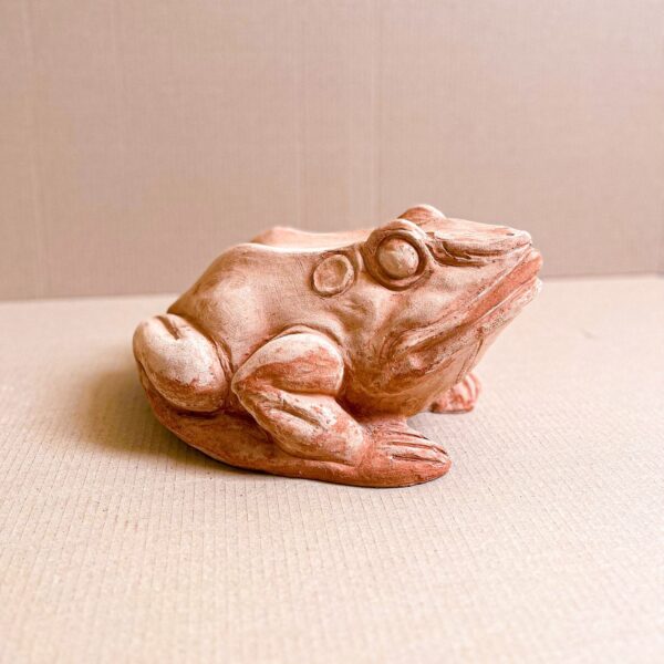 Giant Toad