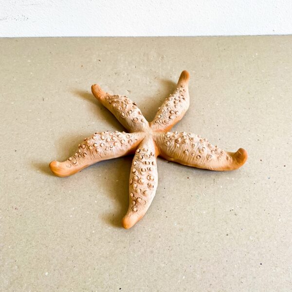 Large Starfish