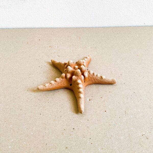 Small Starfish