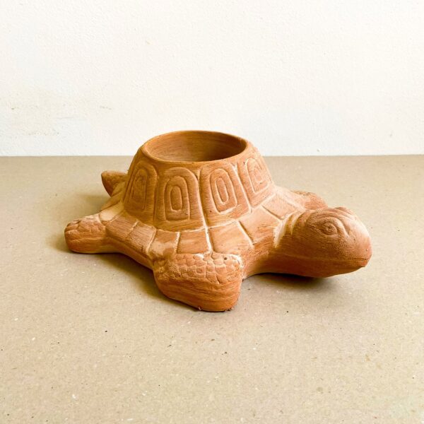 Tartaruga Porta Vaso