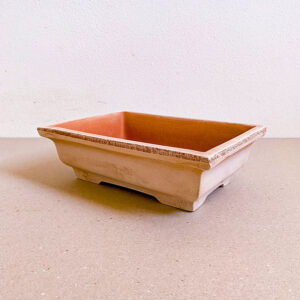 Vaso Bonsai Liscio