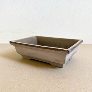 Vaso Bonsai Liscio