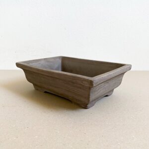 Vaso Bonsai Spugnato
