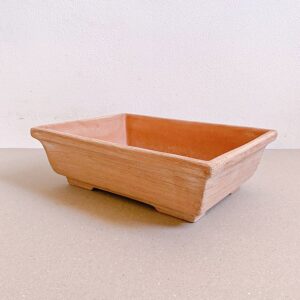 Vaso Bonsai Spugnato