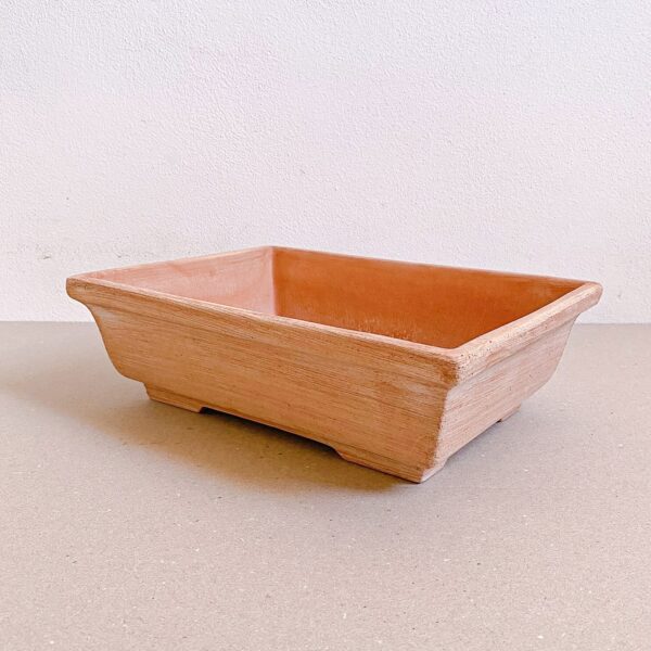 Vaso Bonsai Spugnato