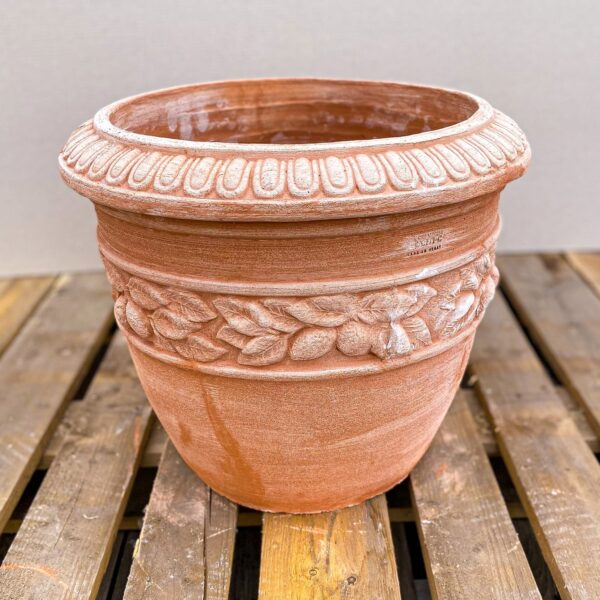 Vaso Fascia