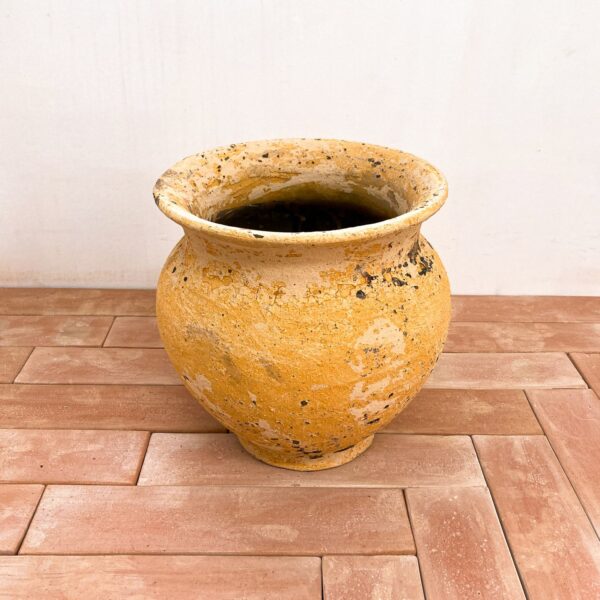 Vaso Marino - Giallo