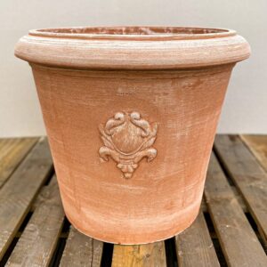 Vaso Primula